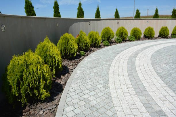 Best Decorative Driveway Pavers  in Crosby, TX